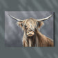 Soft Highland Cow