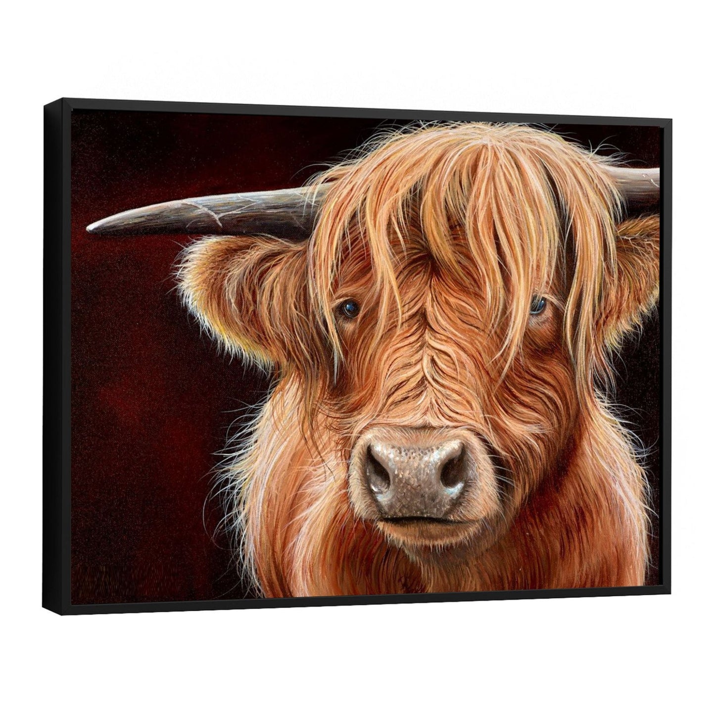 Highland Ginger Cow