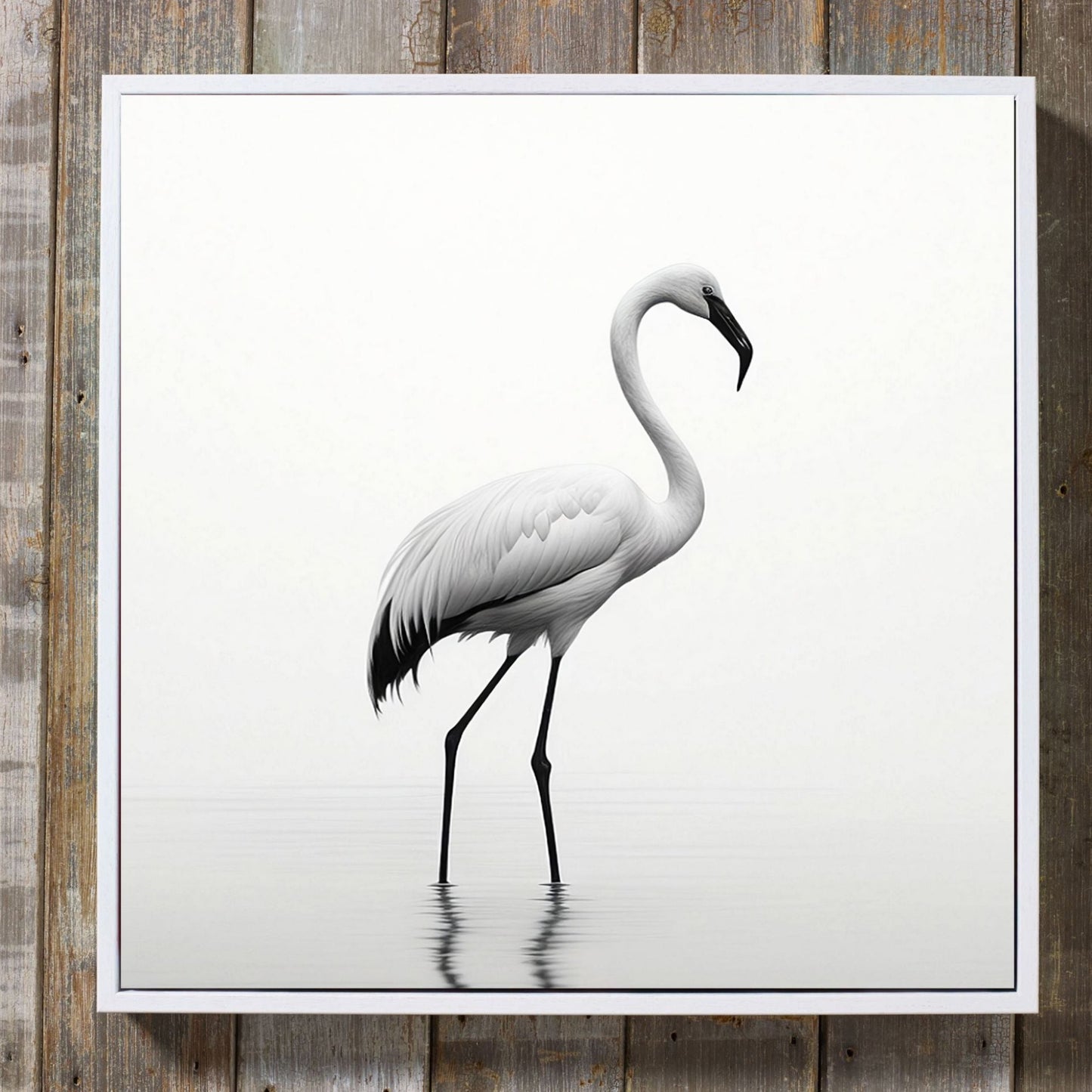 Stunning White Flamingo Minimalist