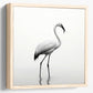 Stunning White Flamingo Minimalist