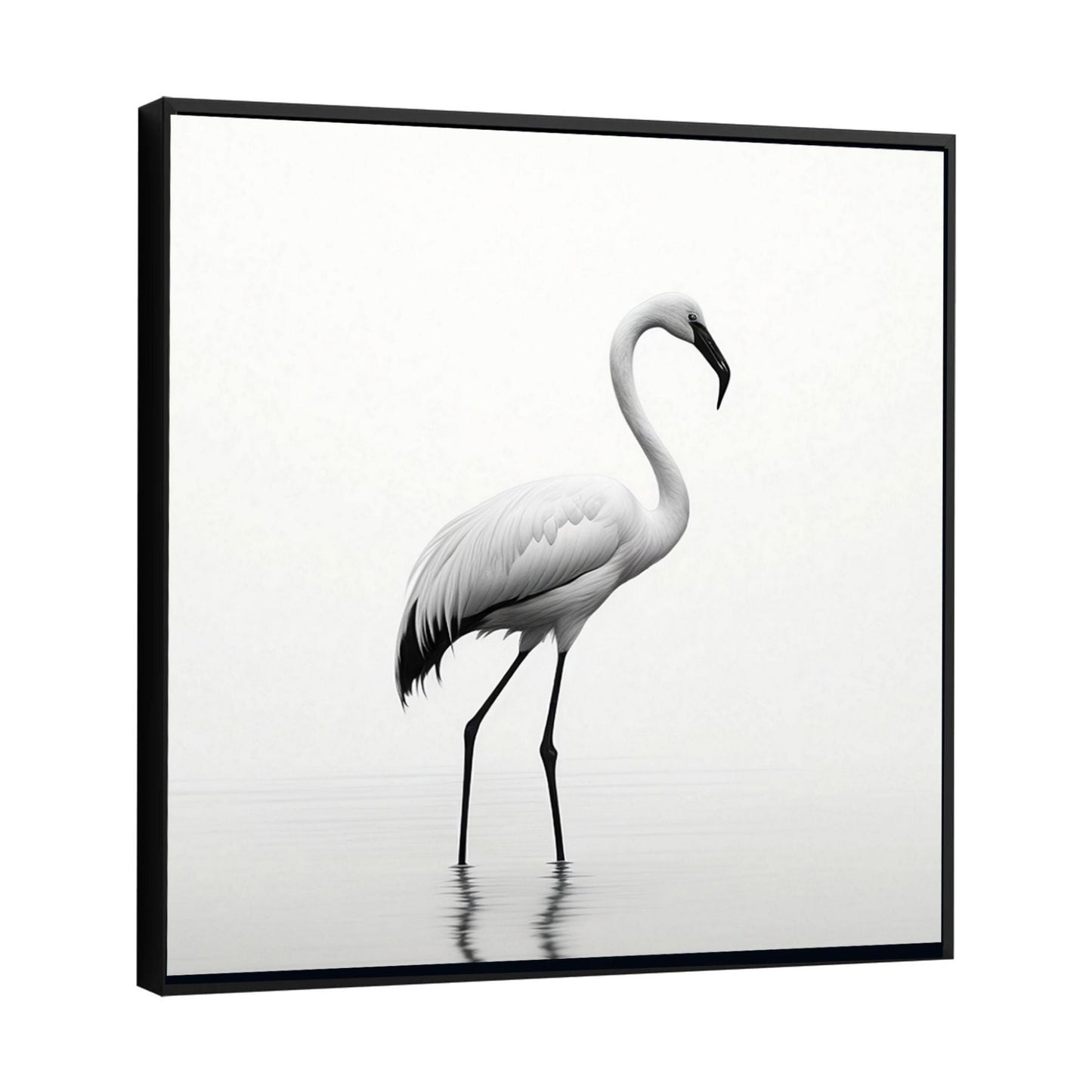 Stunning White Flamingo Minimalist