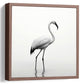 Stunning White Flamingo Minimalist